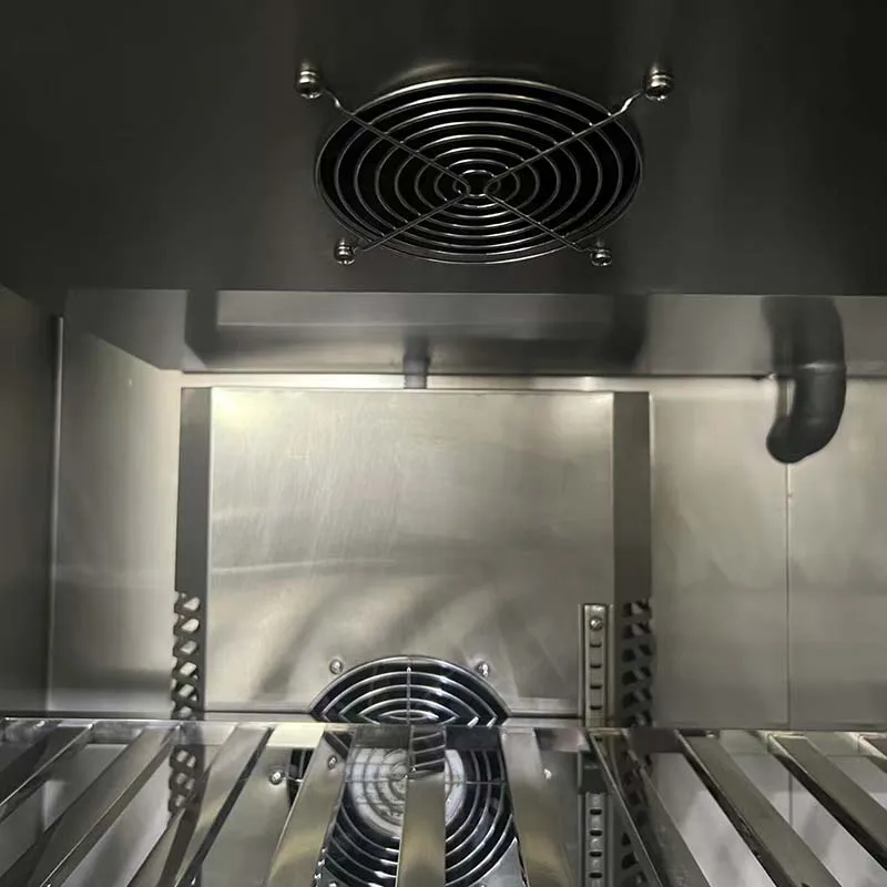 Thawing Equipment, 420L, Electric - detail 12
