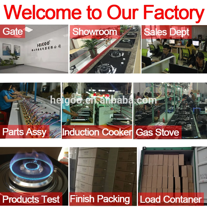 gas induction cooking stoves