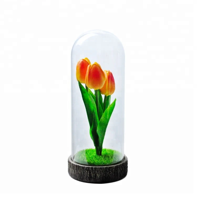 Decorative preserved tulip in glass dome with led light details