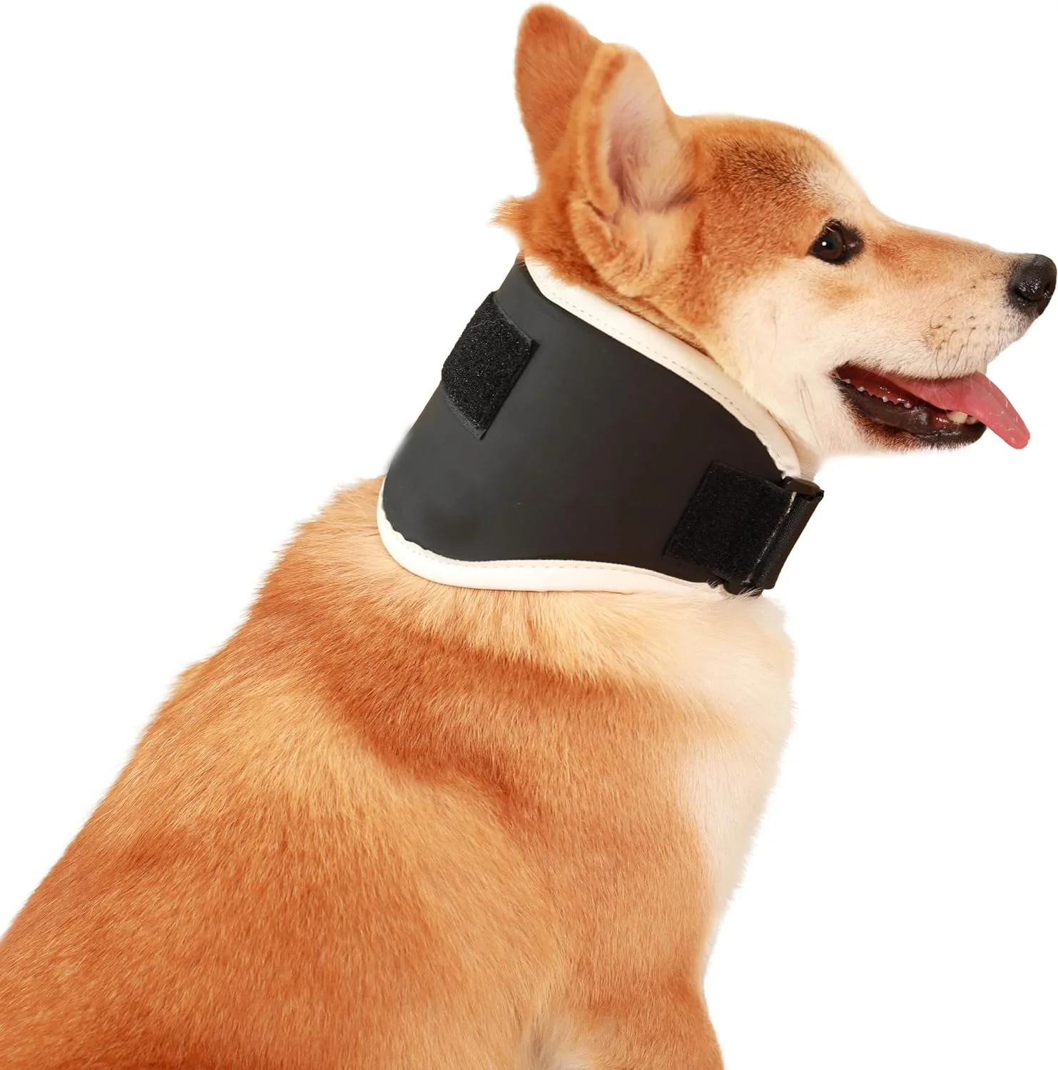 Rigid Pet Neck Brace Orthopedic Brace Wide Top Narrow Bottom Efficiently Stabilize The Cervical Spine Avoid Excessive Movement