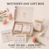 Mother's Day Gift Box