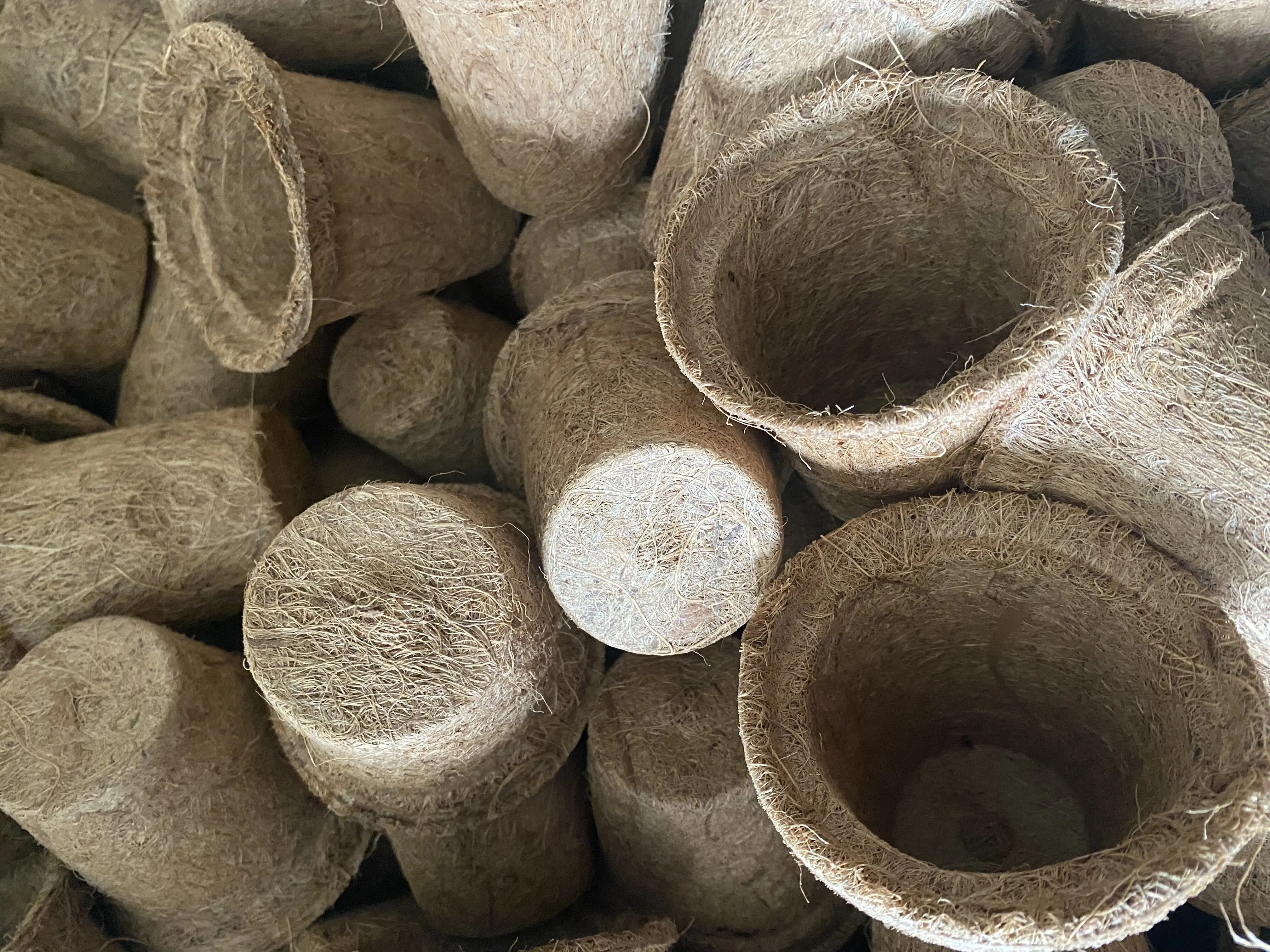 Biodegradable Sturdy Thicker 6 Inch Coco Coir Pot For Plants And ...