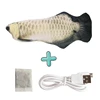 Silver Dragon Fish