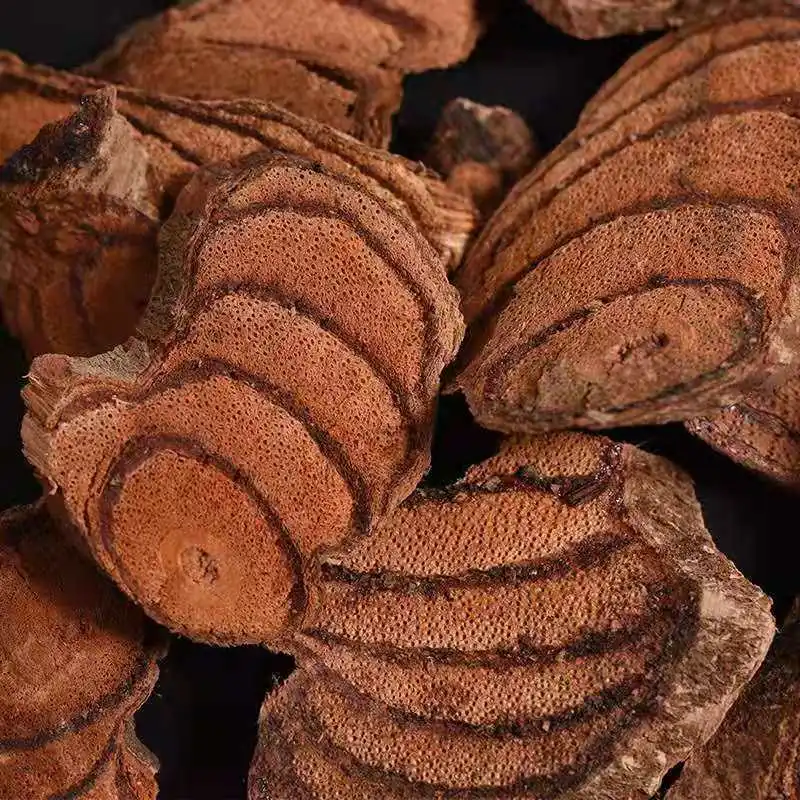 Sportchilarning erotik videolari