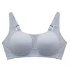 silver-gray