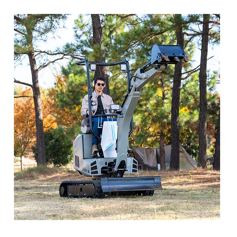 Boleo Direct Sale Mini Digger Operating Weight 1 Ton Euro 5 Crawler Rubber Track Mini Excavators With CE EPA