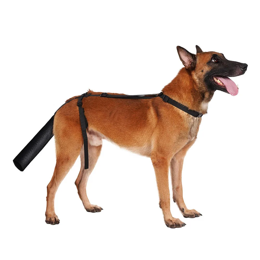 Dog Tail Protector Guard For Medium Large Dogs Adjustable Dog Tail Cover To Prevents Licking Wounds