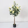 Giallo 120 cm