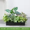 hc-Y60-13 es adecuado para jardineras de 60 cm.