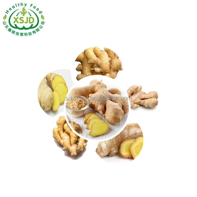 Wholesale Fresh China Fresh Price Crop China Red Ginger Fresh