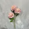 Pink 3