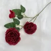 vino rosso