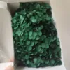 Verde scuro
