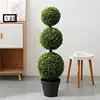 Arachide vivace-110cm