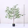 Ficus triangularis - 120cm