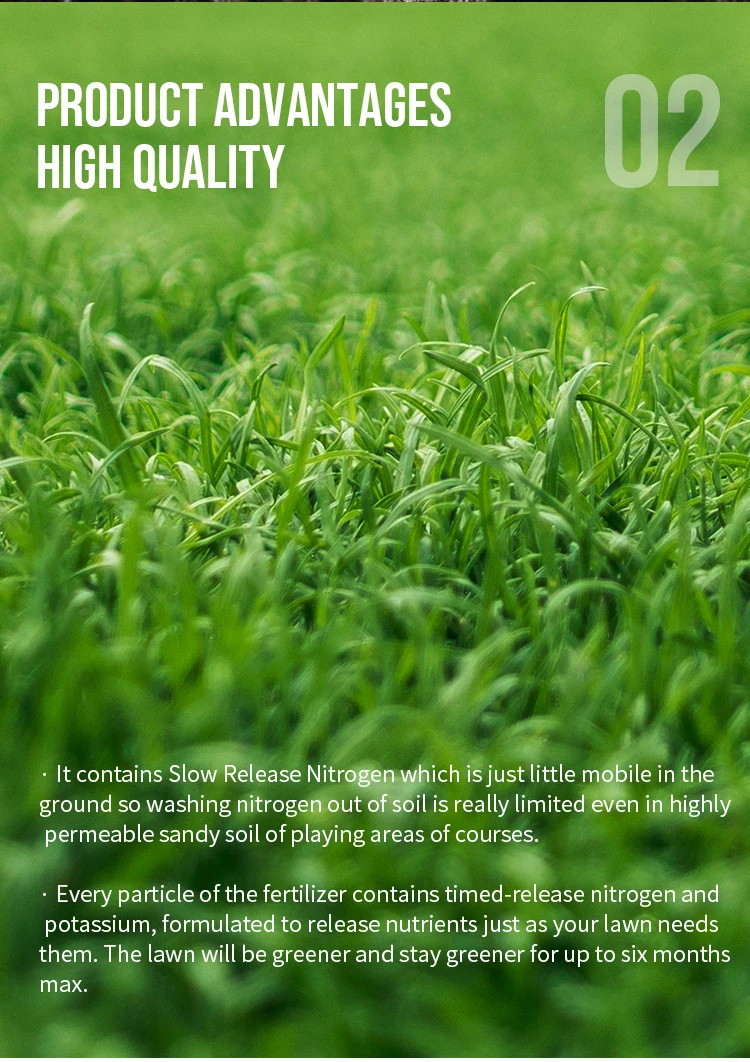 2023 Slow Release Compound Fertilizer Npk 9-5-9 For Turf And Golf ...