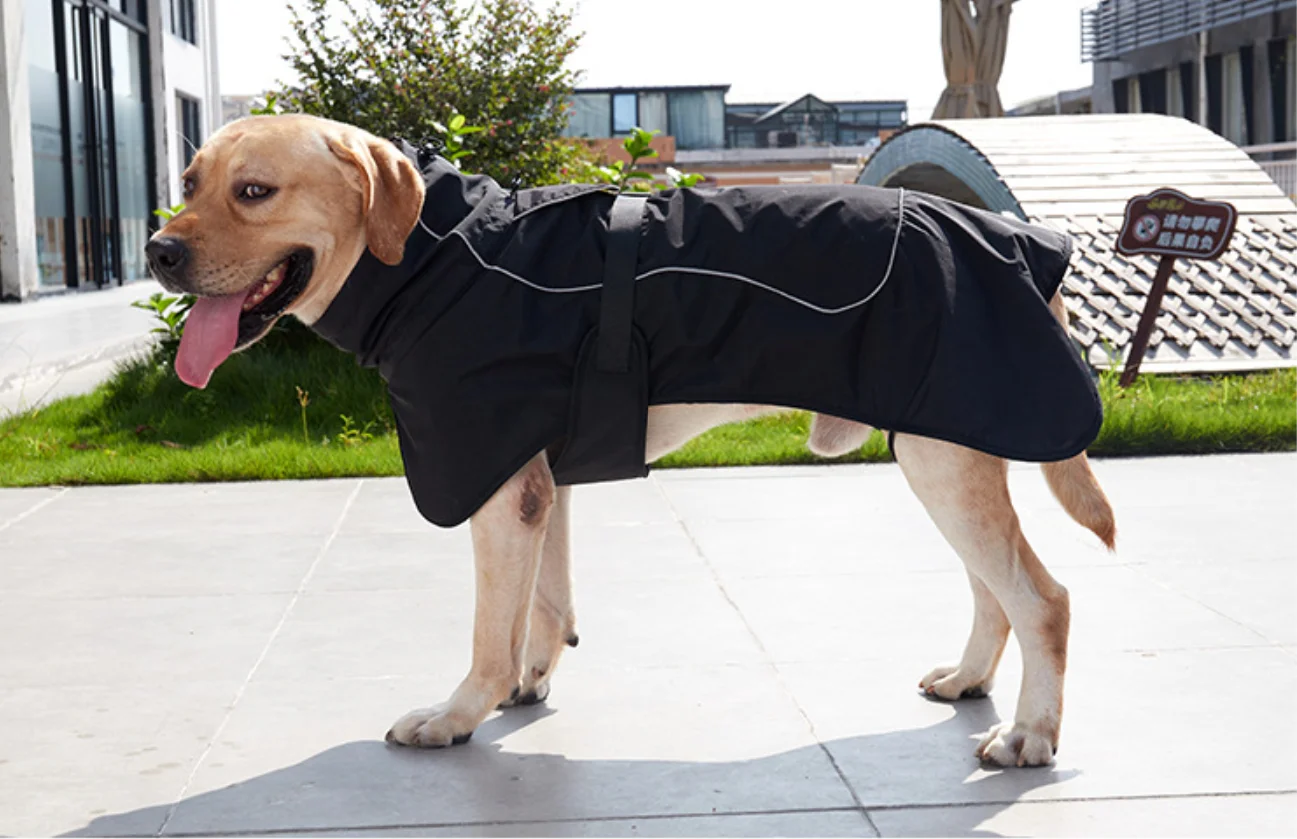 Wonderful Outdoor Pet Clothes For Big Dogs High Collar Double Layer