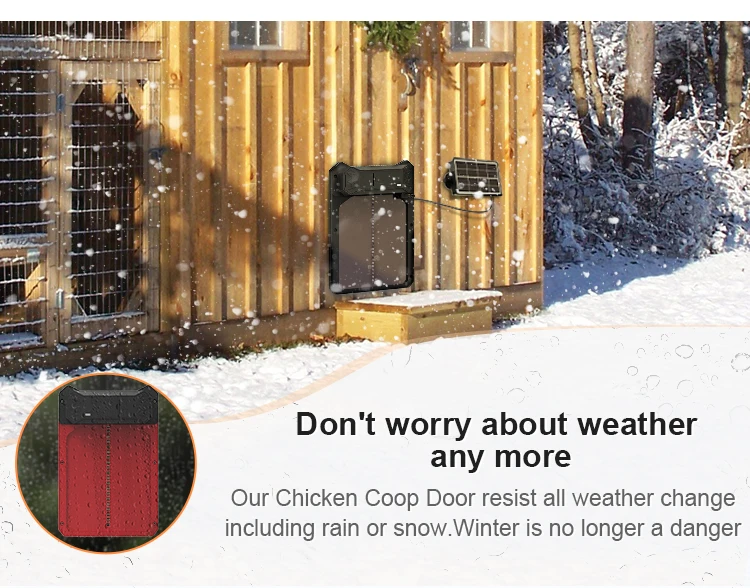 Vertical Sliding Chicken Coop Door Automatic Remote Solar Chicken Coop Door With Timer Buy