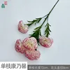 Single Carnation XC, White/Pink