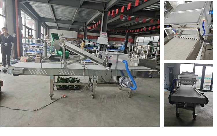Quick-Cut Greens Harvester Automated Microgreen Tray Seeding Machine Microgreen Tray Harvesting Machine with Conveyor Belt