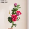 Three-headed rose red