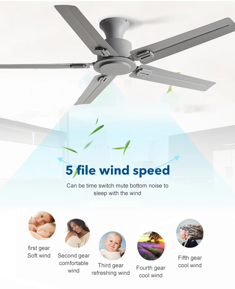 Ceiling Fan, 110-220V, 35 W - detail 16