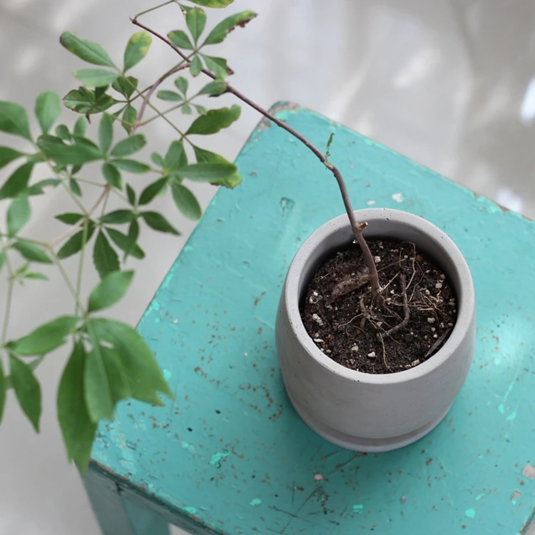 Making Cement Flower Pot Maker Machine Decoration Pot Plant