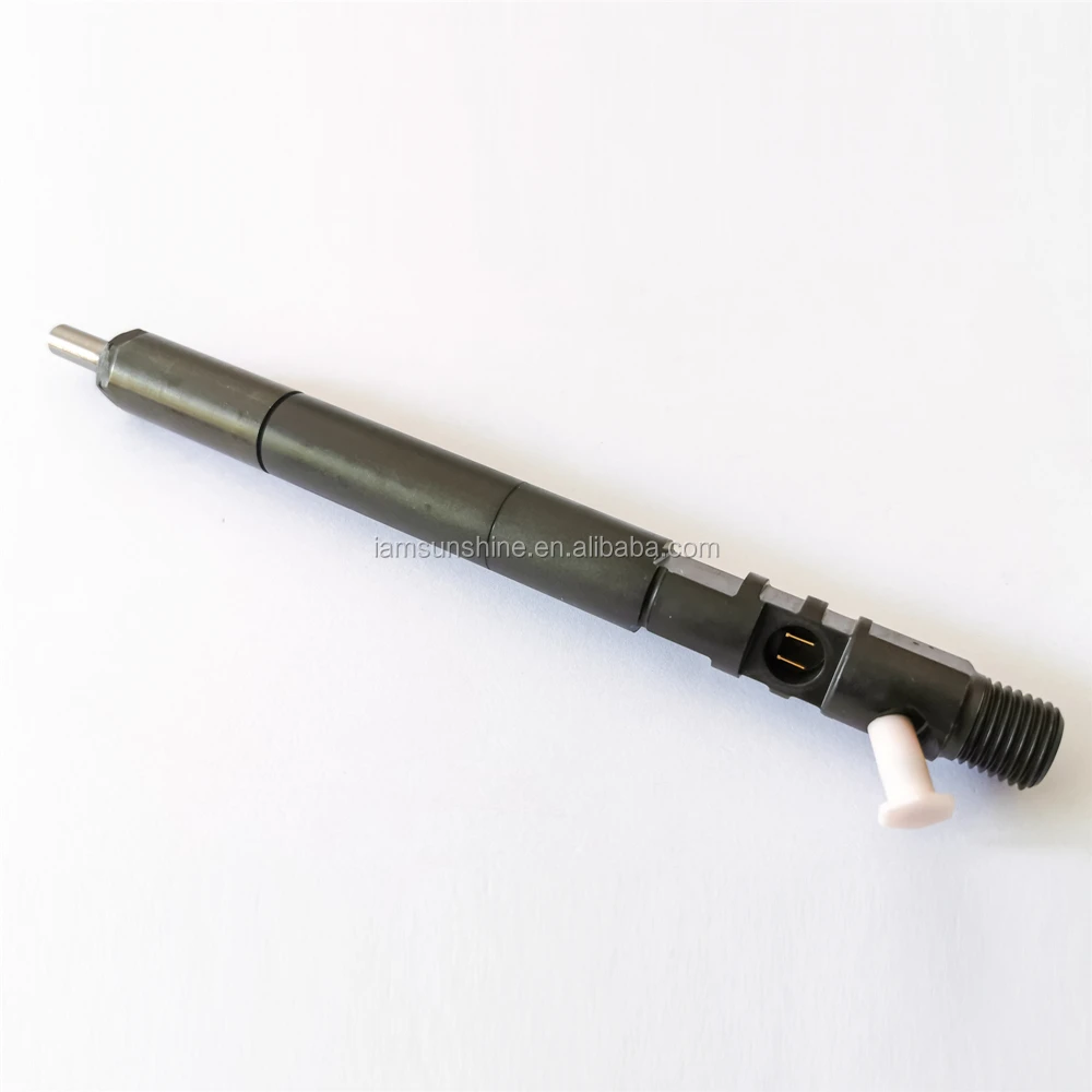 Genuine Common Rail Injector R04401D A6650170221 6650170221 EJBR04401D