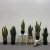 1 ft A 2 ft