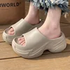 Kaki