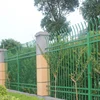 Verde