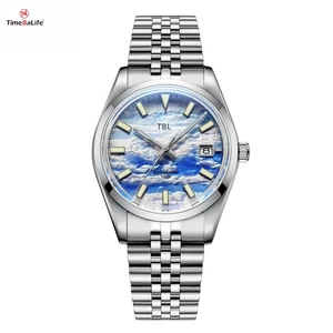 Custom 316L Stainless Steel 10ATM Diving Watch Japanese Automatic Miyota Movement OEM/ODM Mechanical Watches