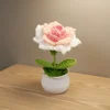 Ventagli rosa graduale - Pianta in vaso con rosa appuntita
