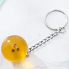 Orange 3 estrellas