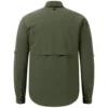 Verde oliva