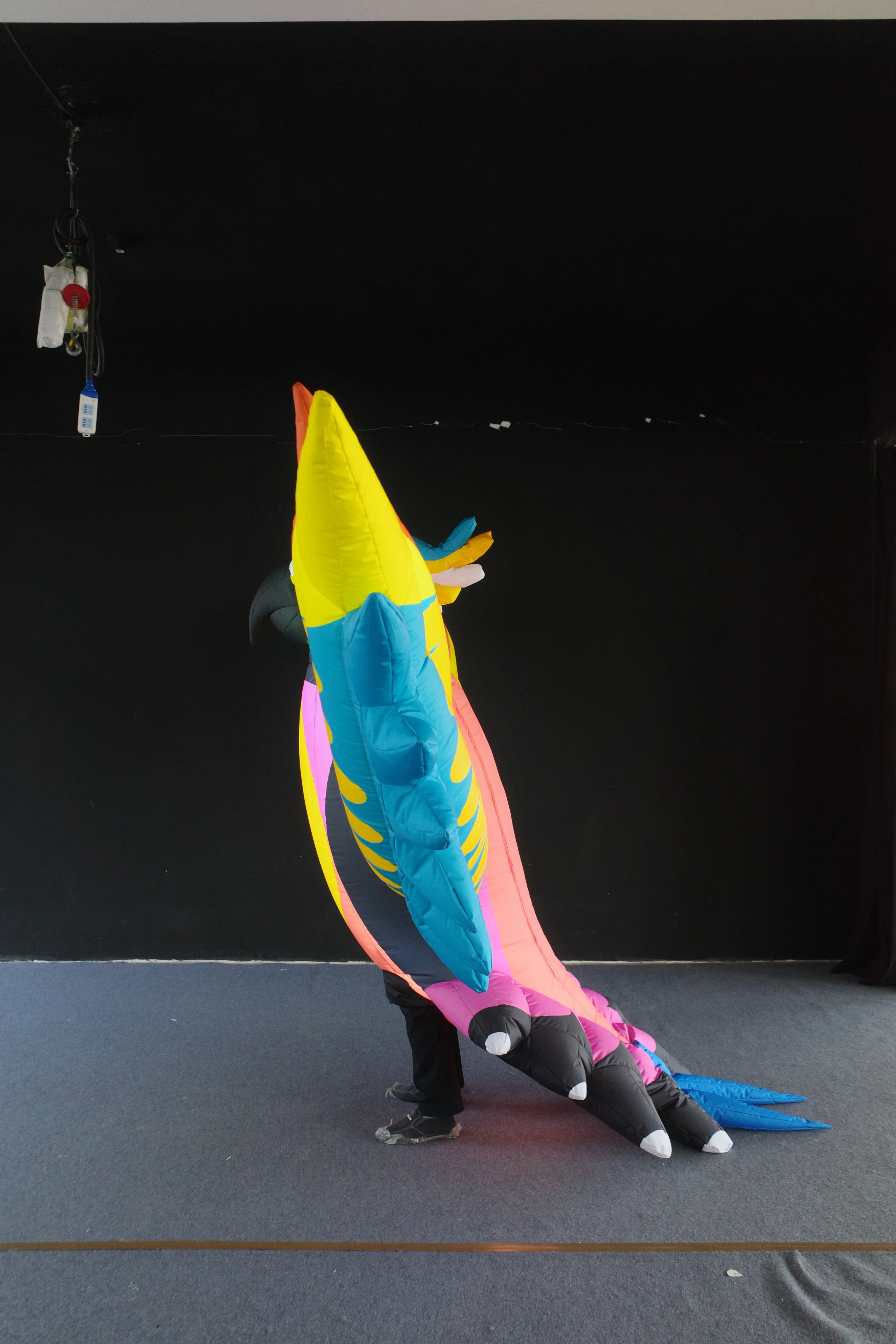 Custom Made Inflatable Bird Costume, Personalized Inflatable for Stage Show & Parade