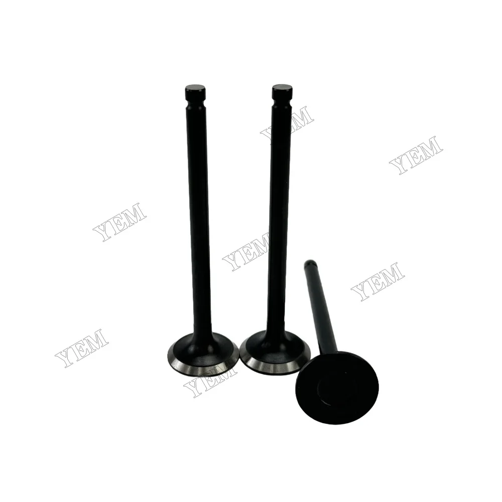 Exhaust Valve Fit for Mitsubishi S3L Engine