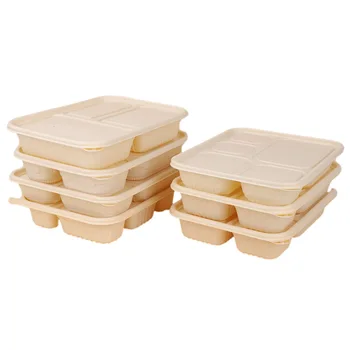 Custom biodegradable 5 compartment corn starch food tray, take out lunch box with cover