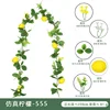 Vides de limón 555