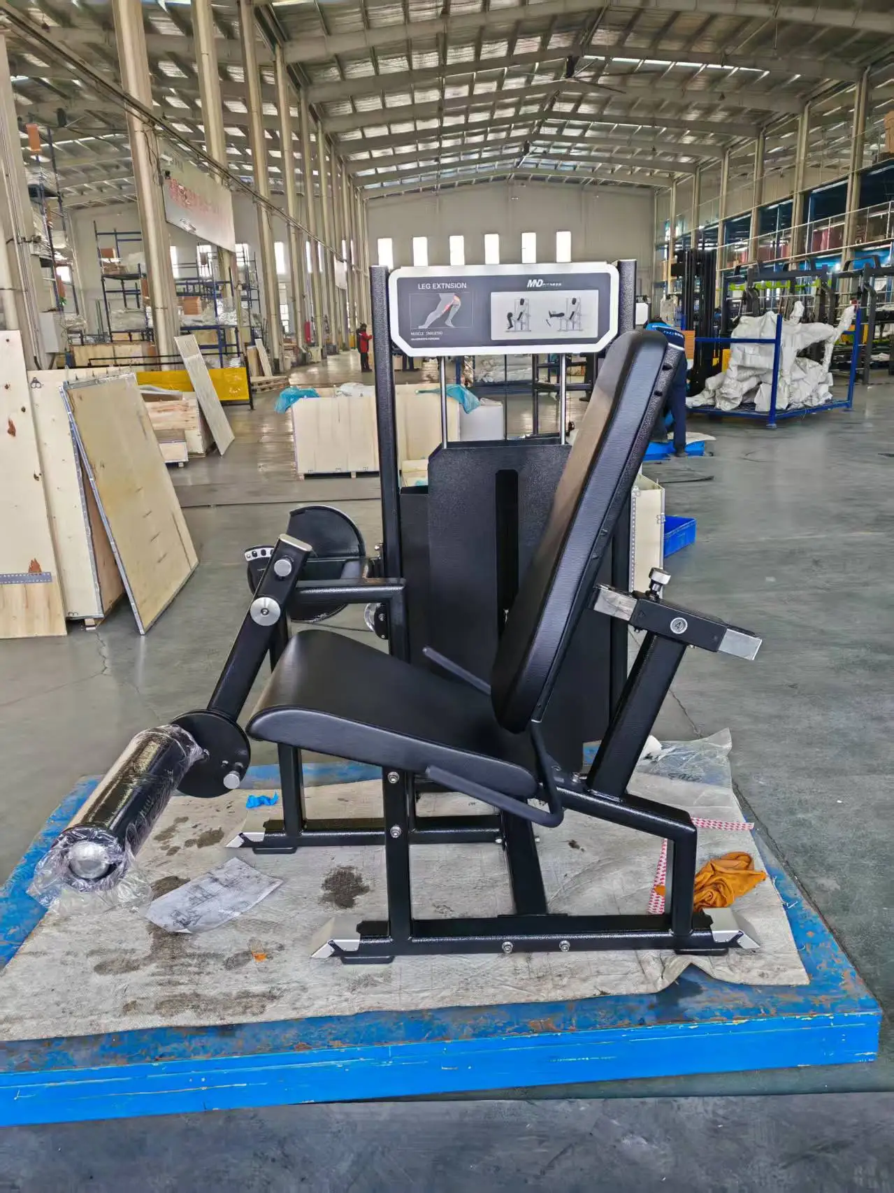 Commercial Gym Seated Leg Extension Machine Factory Buyer Guide reference image 3