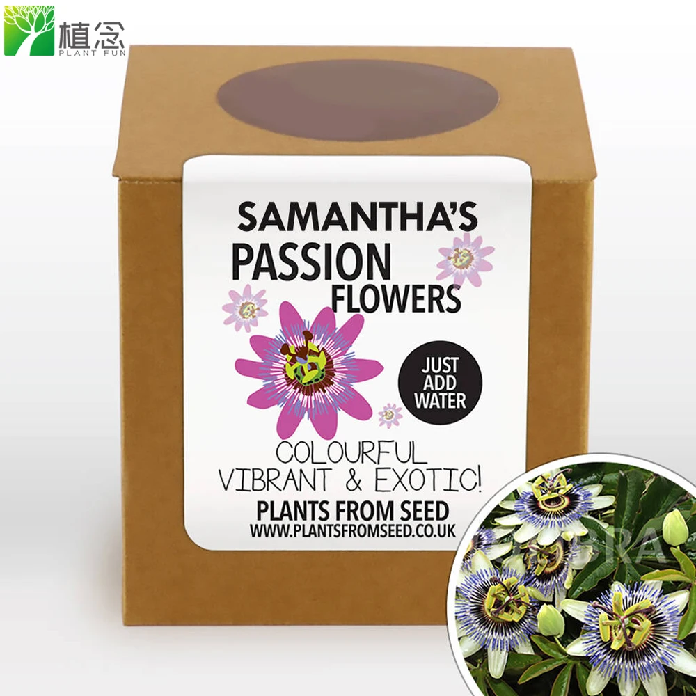 Promotional Complete Grow Your Own Passion Flowers seed Kit