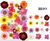 M031-17   เอ็ม031-17