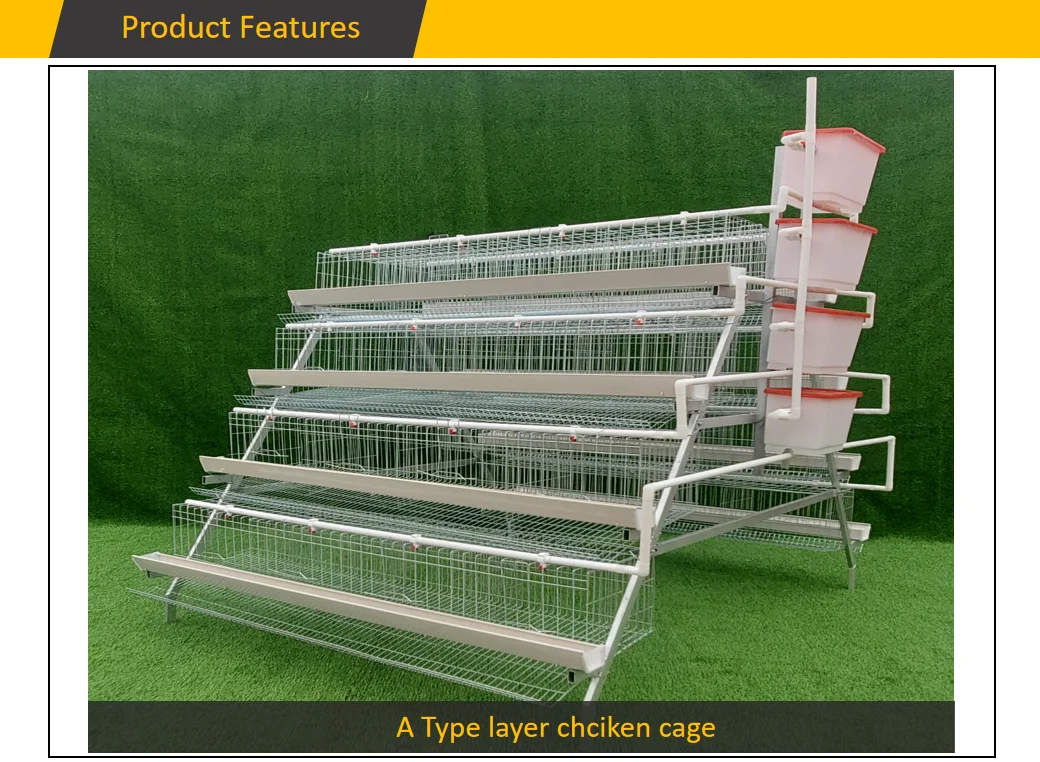 Sri Lanka A Type Poultry Egg Layer Cage For Chicken Coops Buy Sri