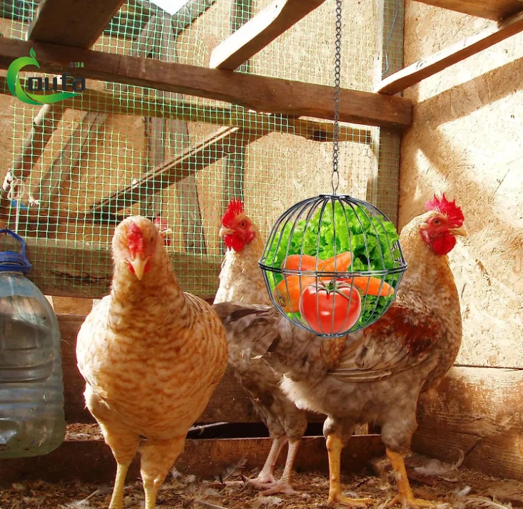 4 PCS CHAÎNE De Légumes Au Poulet Porte-fruits Mangeoire À Volaille