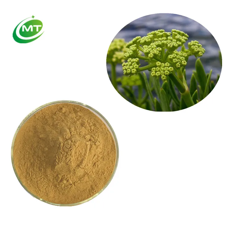 100% Pure Natural Crithmum Maritimum Extract/ Rock Samphire Extract/ Sea Fennel Extract