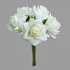 blanco2