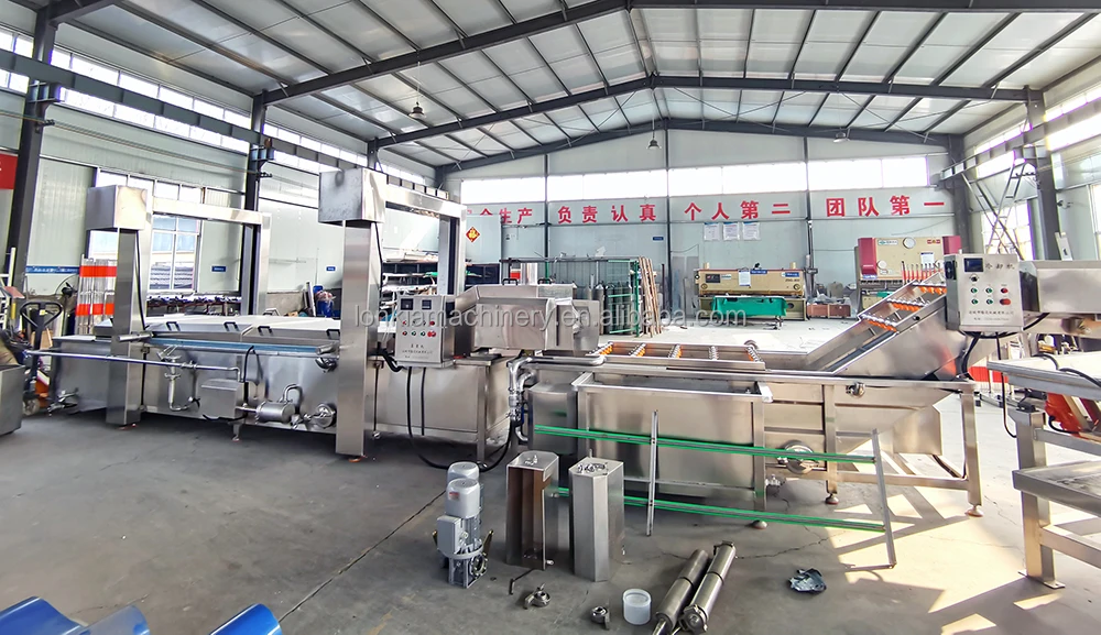 Fruit and Vegetable Sterilizer supplier