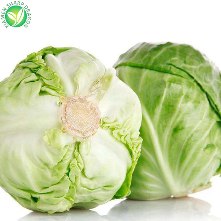 Wholesale Green Nature Chinese Cabbage Seed Fresh Frozen EDIBLE SD 10 Kg GMO-Free Leaf Dice Sliced Chunk Diced Block Cubes