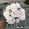 9 angoli autunnali rosa champagne