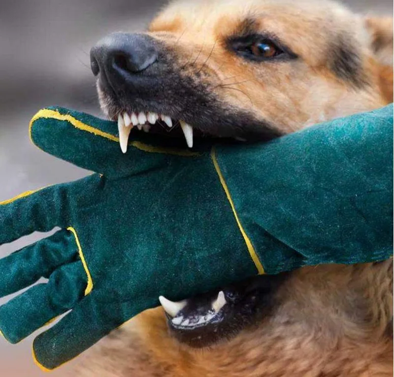 anti morso di cane da addestramento del morso del cane del morso del cane  resistente guanti di protezione per gli animali